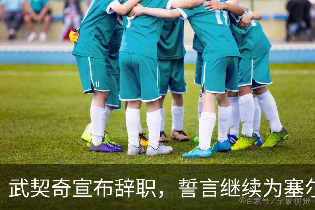 武契奇宣布辞职，誓言继续为塞尔维亚奋斗